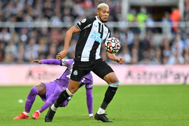 择显得十分 择显得十分