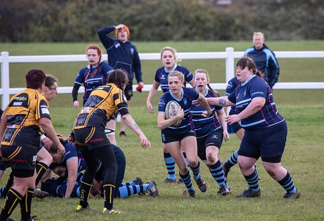 给人留下了 给人留下了